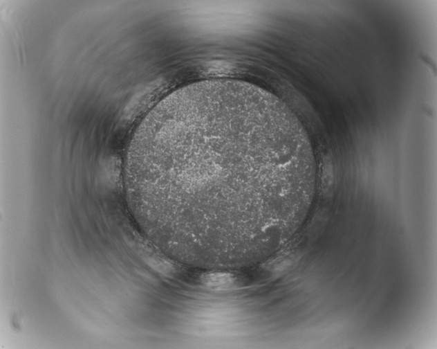 X0000103930361200810171757