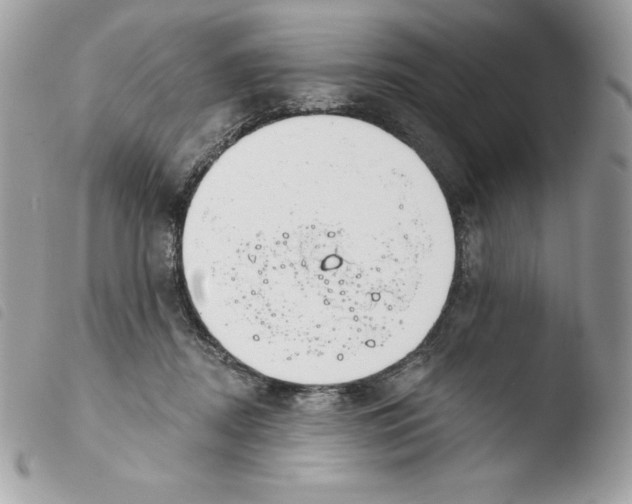 X0000103930362200810171757