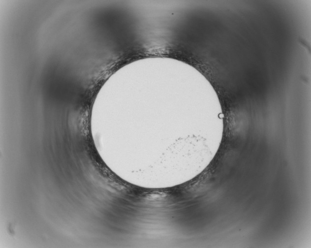 X0000103930364200810171757