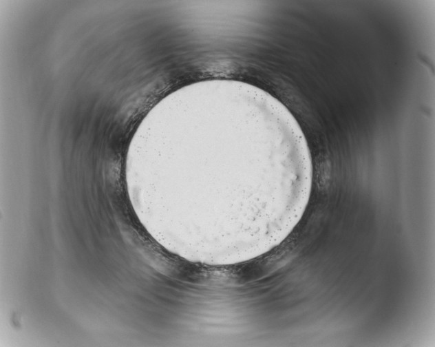 X0000103930365200810171757