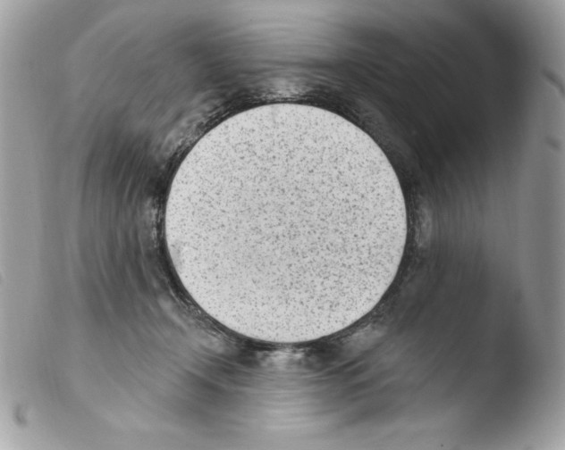 X0000103930366200810171757