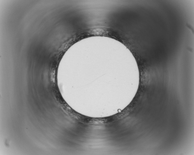 X0000103930368200810171757