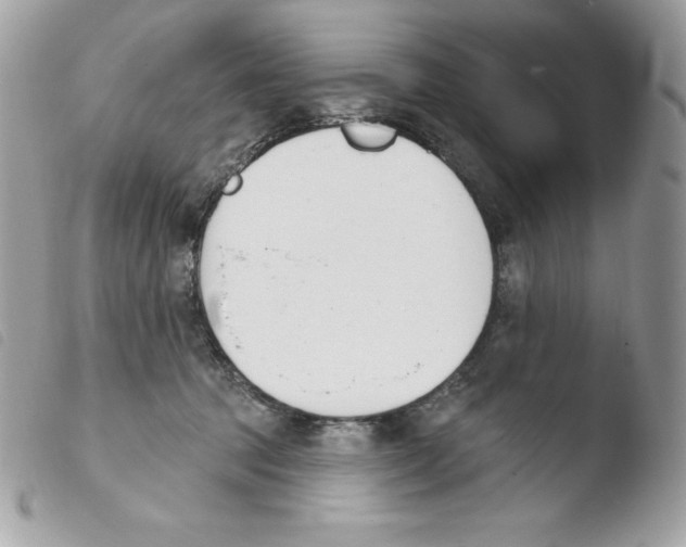 X0000103930369200810171757