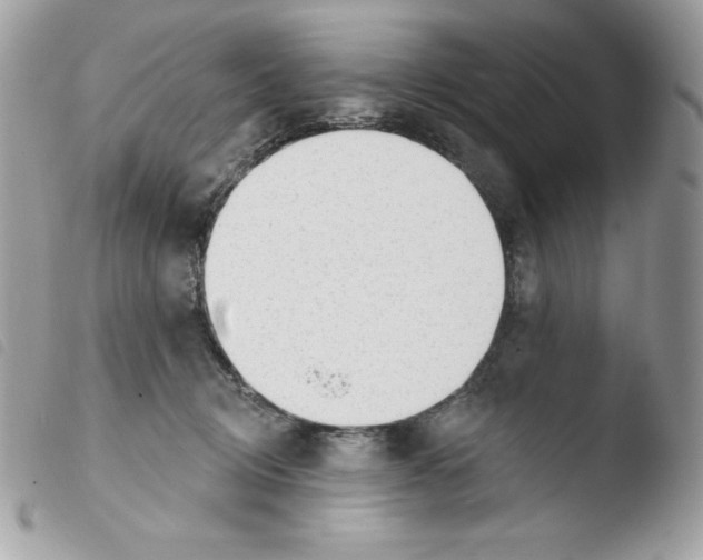 X0000103930370200810171757