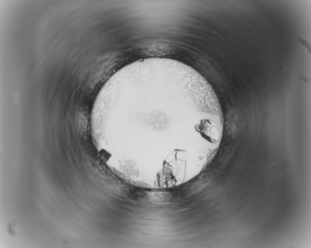X0000103930371200810171757