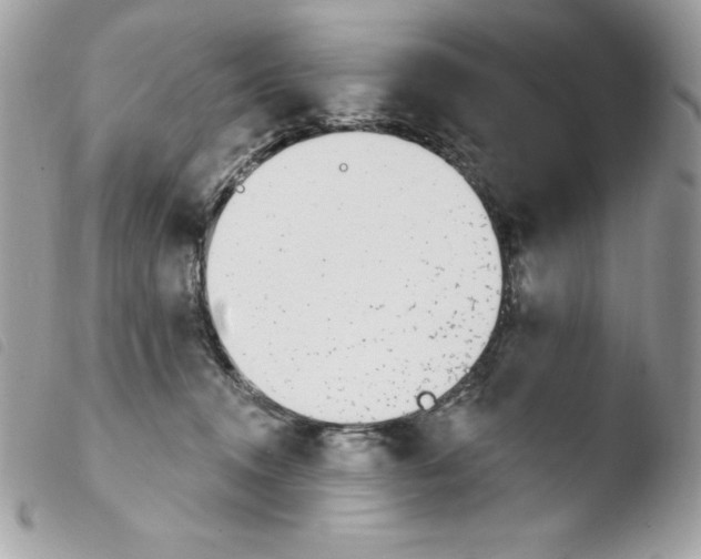 X0000103930372200810171757