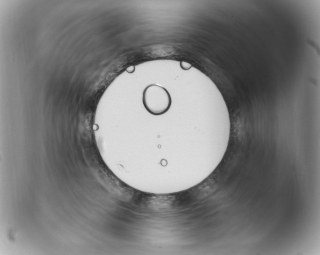 X0000103930373200810171757