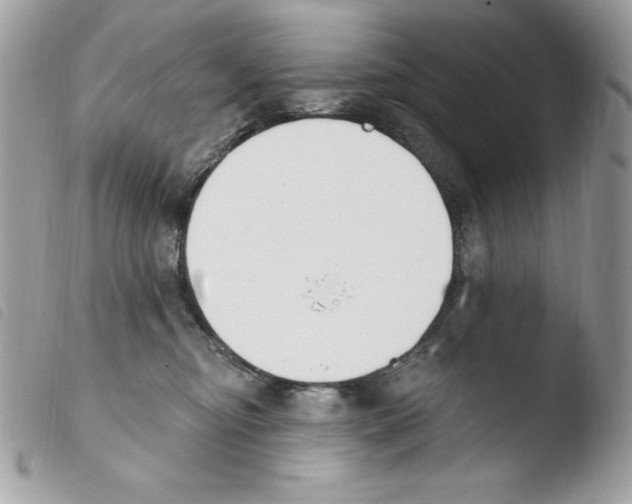 X0000103930374200810171757