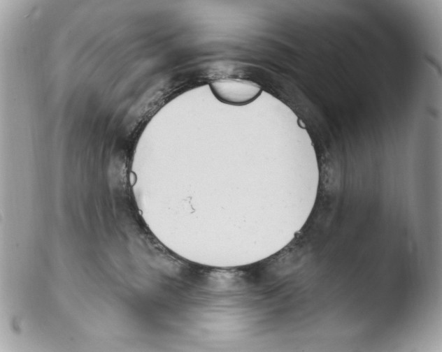 X0000103930375200810171757