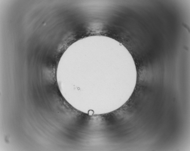 X0000103930376200810171757