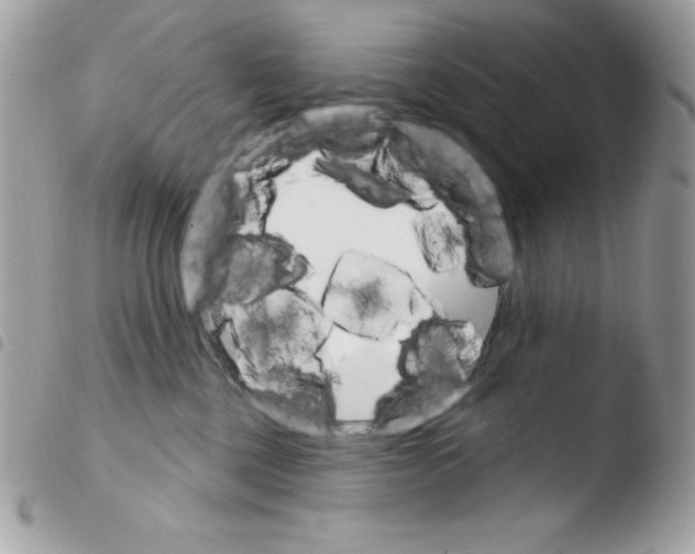 X0000103930377200810171757