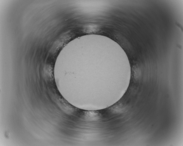 X0000103930380200810171757