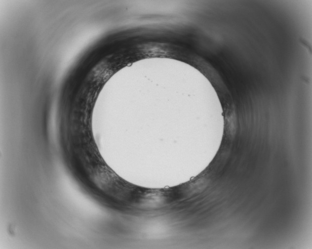 X0000103930381200810171757