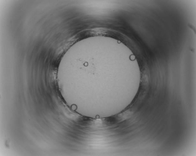 X0000103930382200810171757