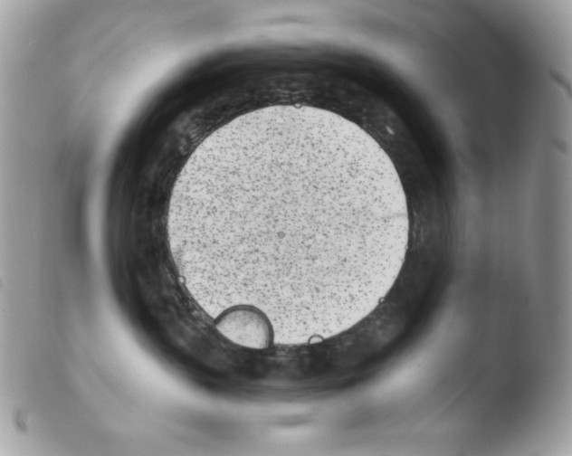 X0000103930383200810171757