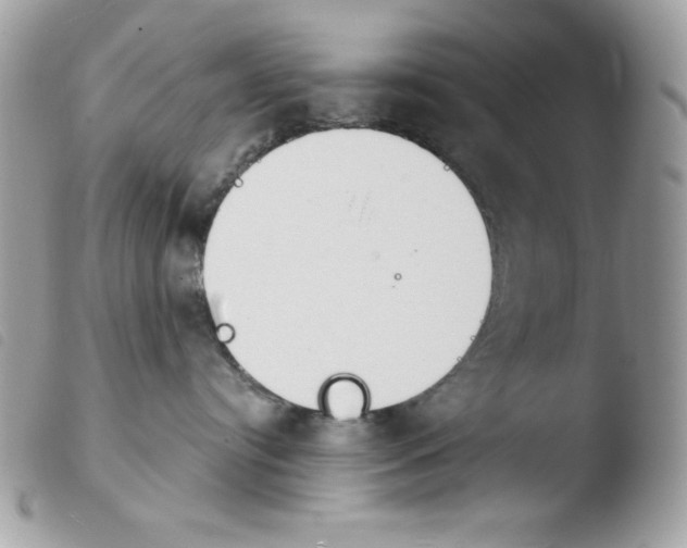 X0000103930384200810171757