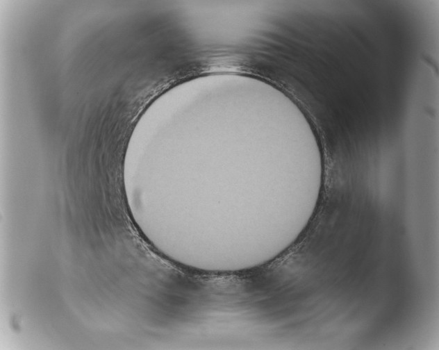 X0000103930385200810171756