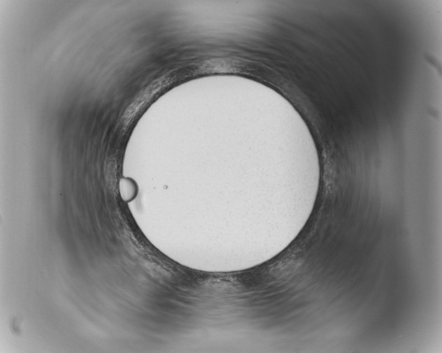 X0000103930386200810171756