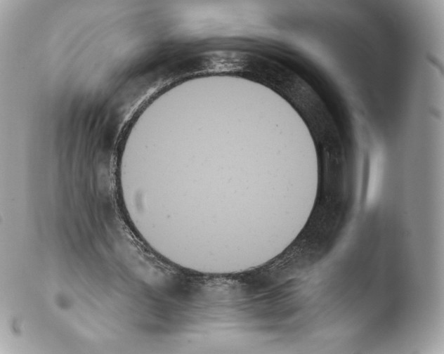 X0000103930387200810171756