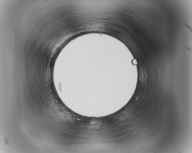 X0000103930388200810171756