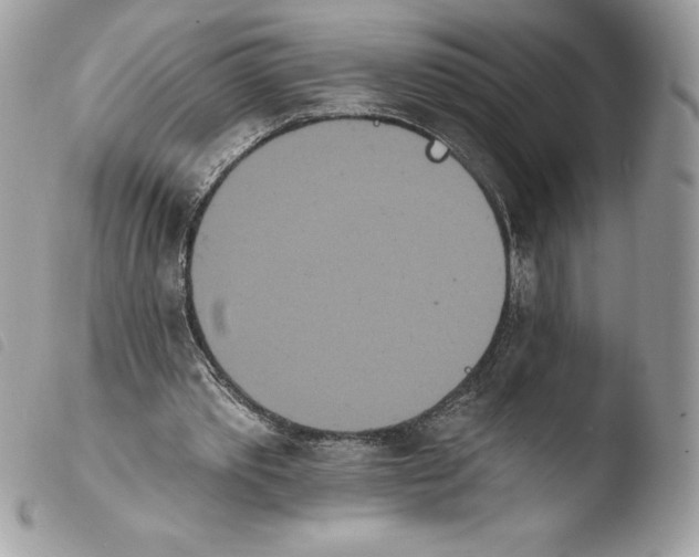 X0000103930389200810171756