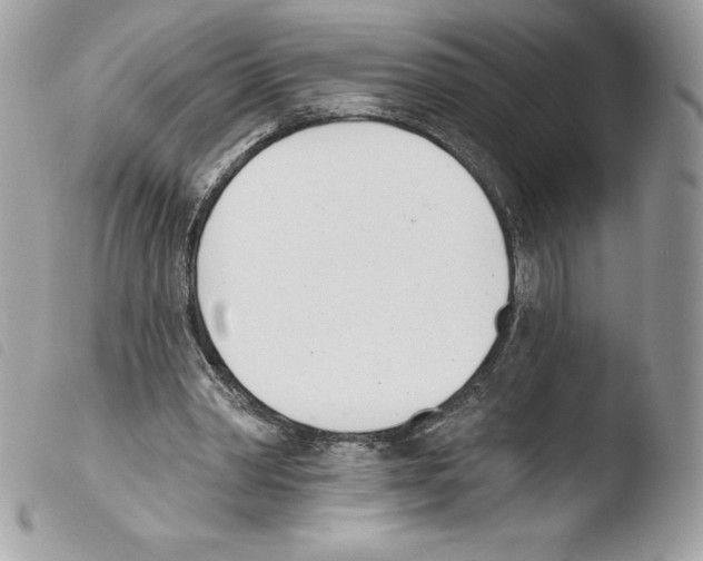 X0000103930390200810171756