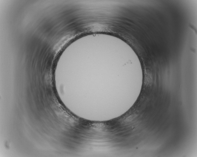 X0000103930391200810171756