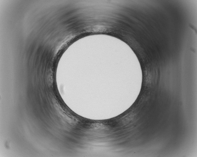 X0000103930392200810171756