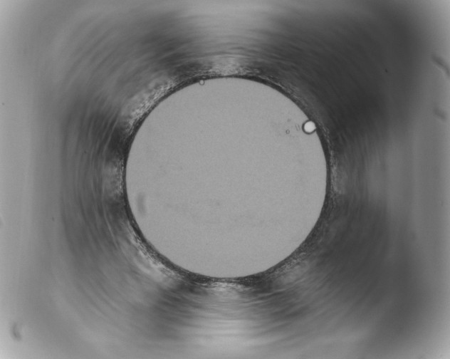 X0000103930393200810171756