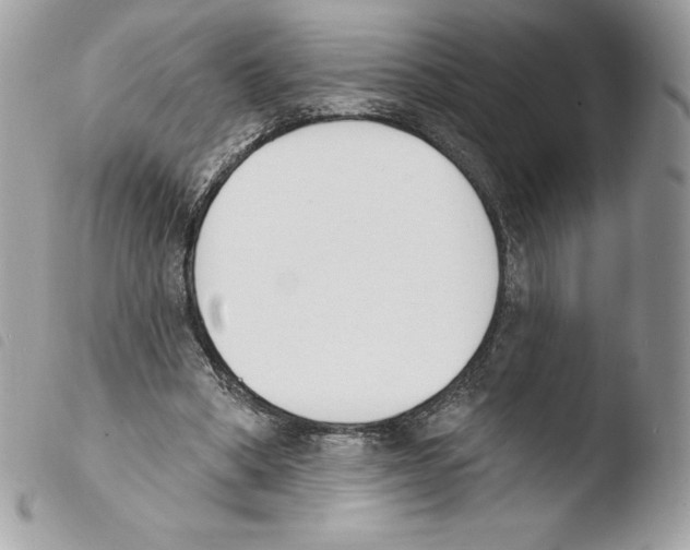 X0000103930394200810171756