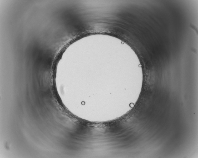 X0000103930395200810171756