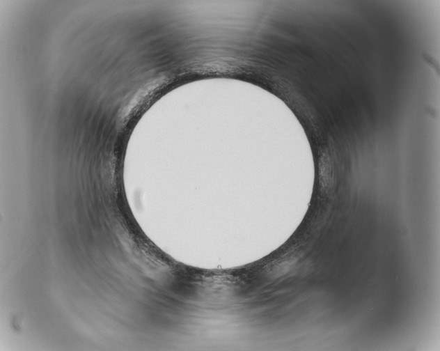 X0000103930396200810171756