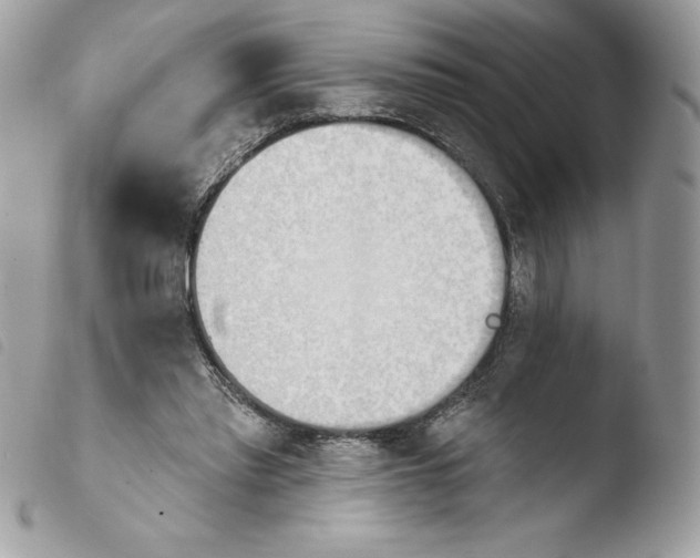 X0000103930397200810171756