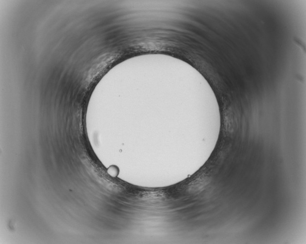 X0000103930398200810171756