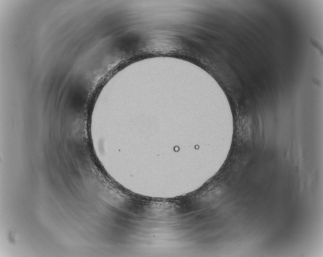 X0000103930399200810171756