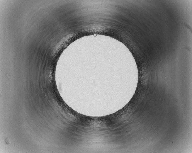 X0000103930400200810171756