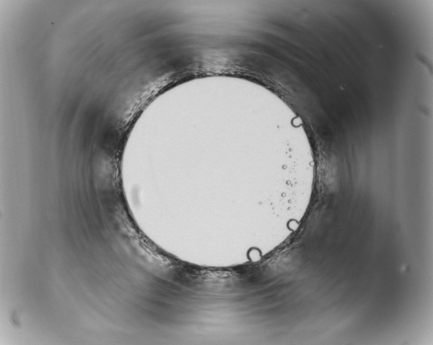 X0000103930401200810171756