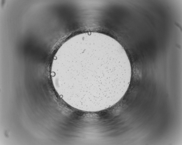 X0000103930403200810171756