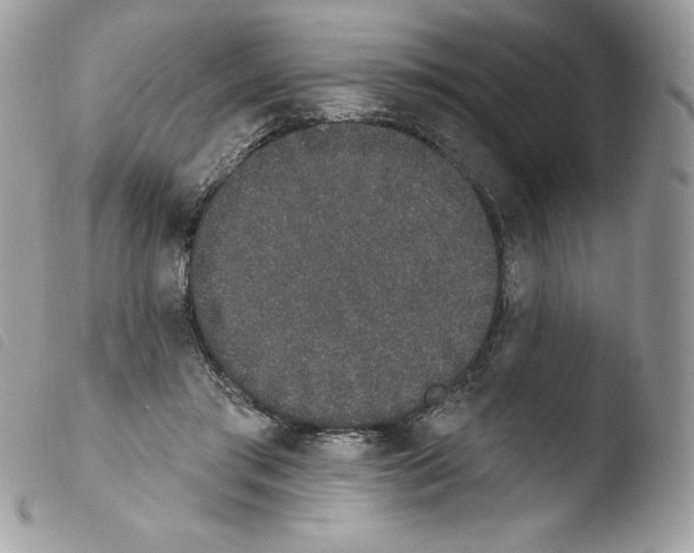 X0000103930405200810171756