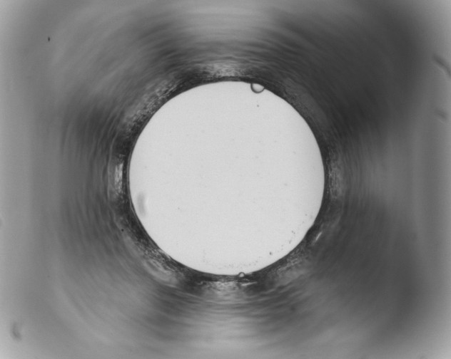 X0000103930406200810171756