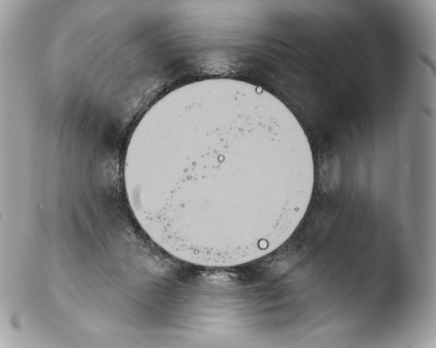 X0000103930407200810171756