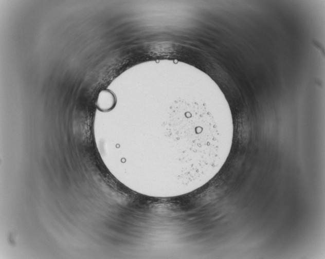 X0000103930408200810171756