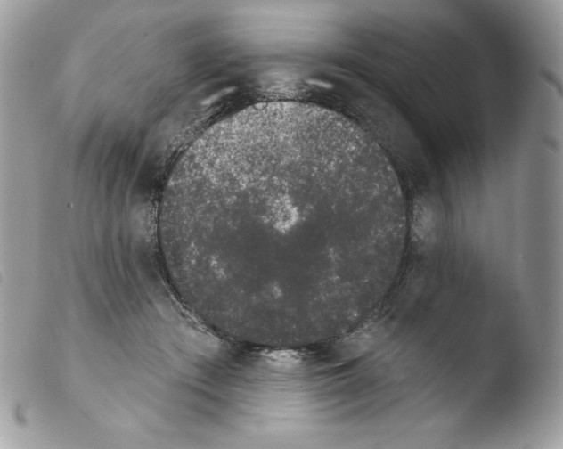 X0000103930409200810171756