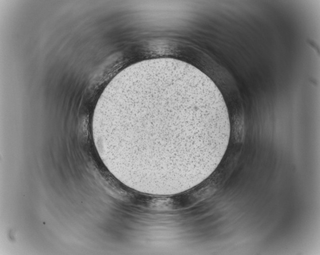 X0000103930410200810171756