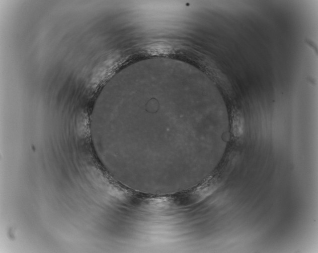 X0000103930411200810171756