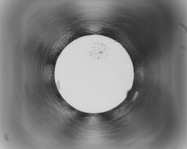 X0000103930412200810171756