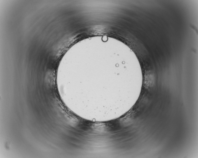 X0000103930413200810171756