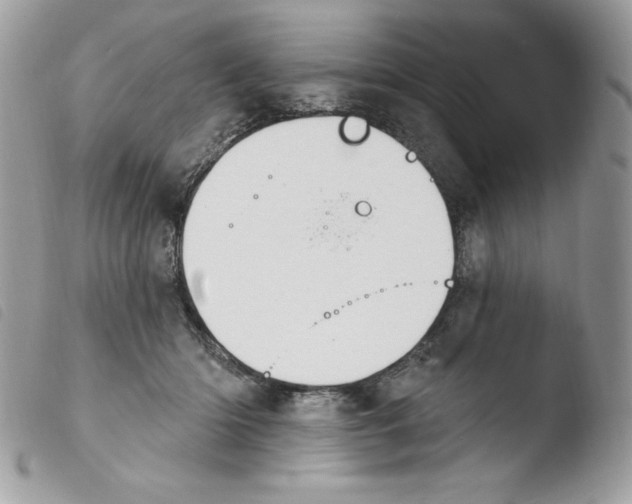 X0000103930414200810171756