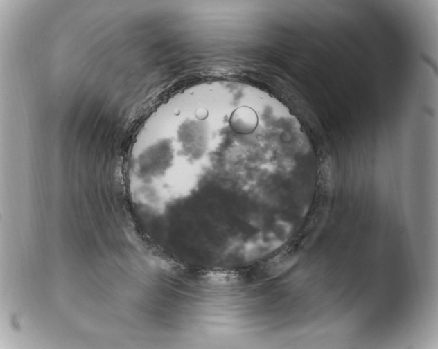 X0000103930415200810171756