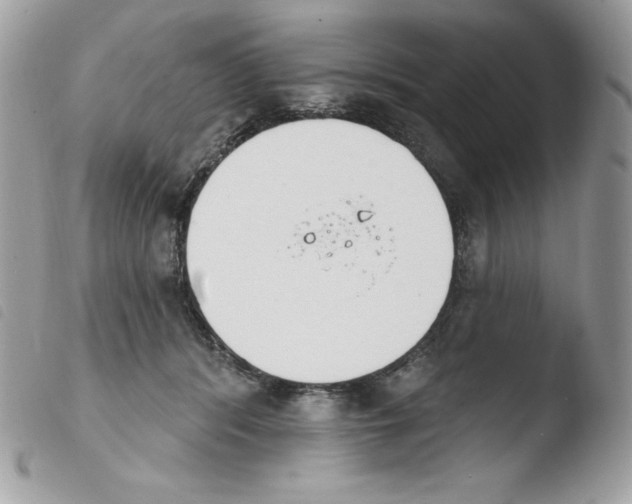 X0000103930416200810171756